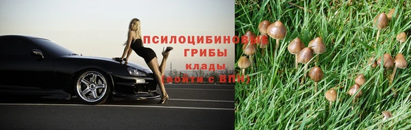 стафф Балабаново