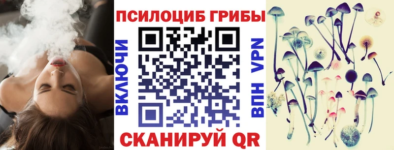OMG ТОР  Моршанск  Псилоцибиновые грибы прущие грибы 